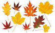 Bunte Herbstblätter