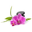 Zen pebbles balance. Spa and healthcare concept.