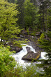 Torrent, Pyrénées