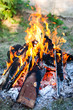 Feu de camp
