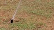 Watering grass lawn
