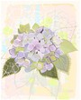 Vektor: Greeting card with hydrangea. Greeting card with hydrangea.