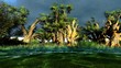 Wetland