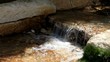 Small stream. Creek