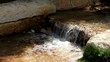Artificially created an oasis in the Negev Desert, Israel