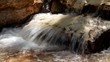 Small stream. Creek