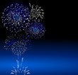 feu d'artifice fête nationale