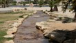 Artificially created an oasis in the Negev Desert, Israel