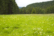 Rennsteig
