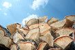 Birch firewood against the blue sky