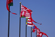 Hungarian historic flags