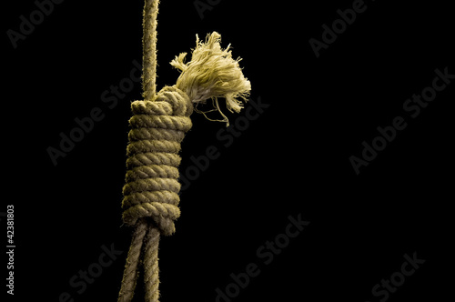 Photo: Noose Noose
