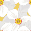 seamless pattern with flowers daffodils