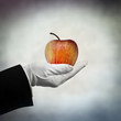 holding apple