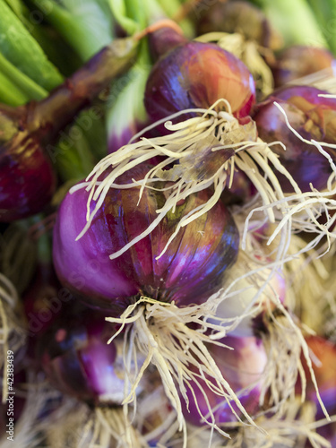 Photo: Fresh Vegetables Fresh Vegetables