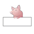 cochon