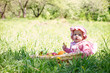 little child in the park