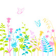 Summer floral background