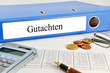 Gutachten