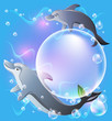 Pair dolphins swims in the water with air bubbles.