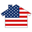 Usa Country Flag House