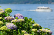 Photo: Lago Maggiore Lago Maggiore