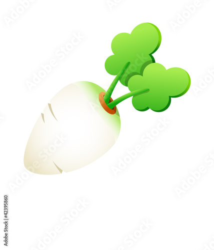 Vector: Vector icon white radish Vector icon white radish