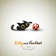 Little Cat playing with Football