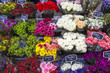 Foto: Auswahl an Schnittblumen auf einem Markt in Paris, Frankreich Auswahl an Schnittblumen auf einem Markt in Paris, Frankreich