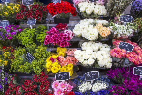 Foto: Auswahl an Schnittblumen auf einem Markt in Paris, Frankreich Auswahl an Schnittblumen auf einem Markt in Paris, Frankreich