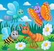 Meadow with various bugs theme 2