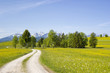 Foto: lovely panorama in the Alps in Germany lovely panorama in the Alps in Germany