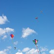 Kites Flying Together