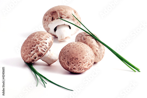 Foto: brown mushrooms brown mushrooms