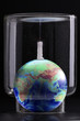 global warming effect