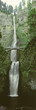 Photo: This shows the Multnomah Falls and its footbridge. There is a 542 ft. drop from the falls. This shows the Multnomah Falls and its footbridge. There is a 542 ft. drop from the falls.