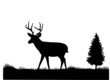Deer silhouette