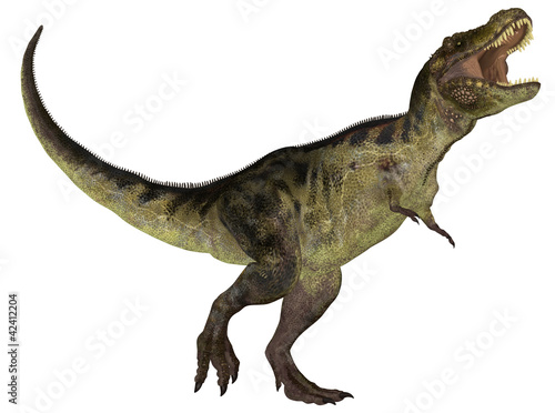 Illustration: Tyrannosaurus Tyrannosaurus