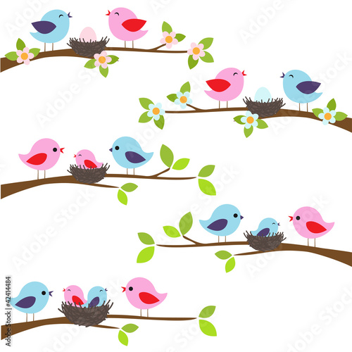 Vektor: Family of birds Family of birds