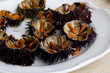 Ricci di mare