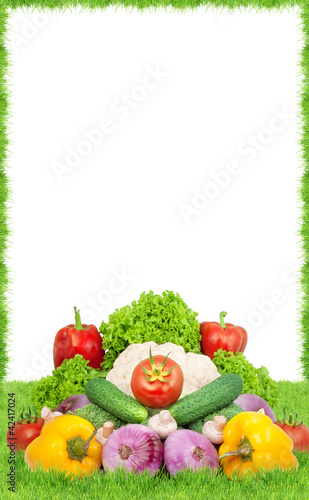 Photo: Assorted fresh vegetables Assorted fresh vegetables