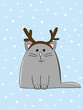horny kitten