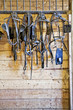 Photo: Harness Racing Equipment Harness Racing Equipment