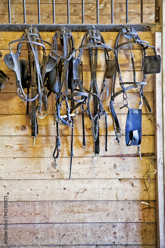 Photo: Harness Racing Equipment Harness Racing Equipment