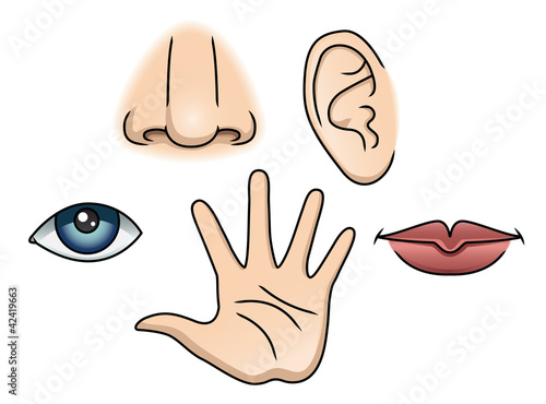 Senses Symbols