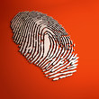 3d fingerprint