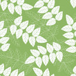 seamless green and white leaves background pattern