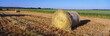 Photo: These are rounded hay bails made from freshly cut hay in the field. They are generously spaced apart in the field. These are rounded hay bails made from freshly cut hay in the field. They are generously spaced apart in the field.
