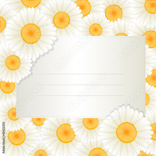 Vector: Oxeye daisy text card Oxeye daisy text card