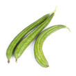 Angled Gourd